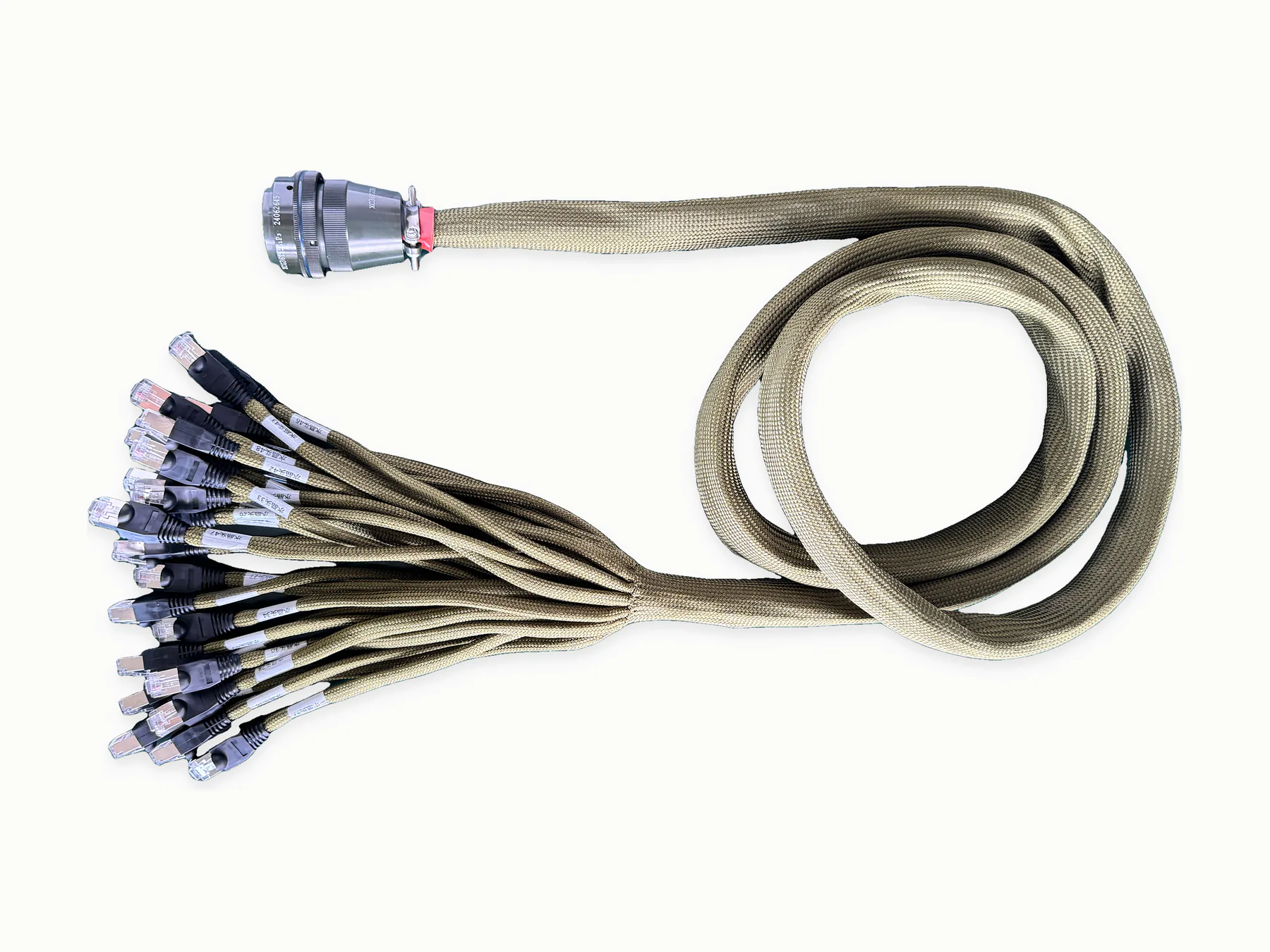 Multi-branch cable harness with a circular connector on a warm-white background